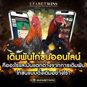 ไก่ชนออนไลน์