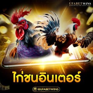 ไก่ชนอินเตอร์